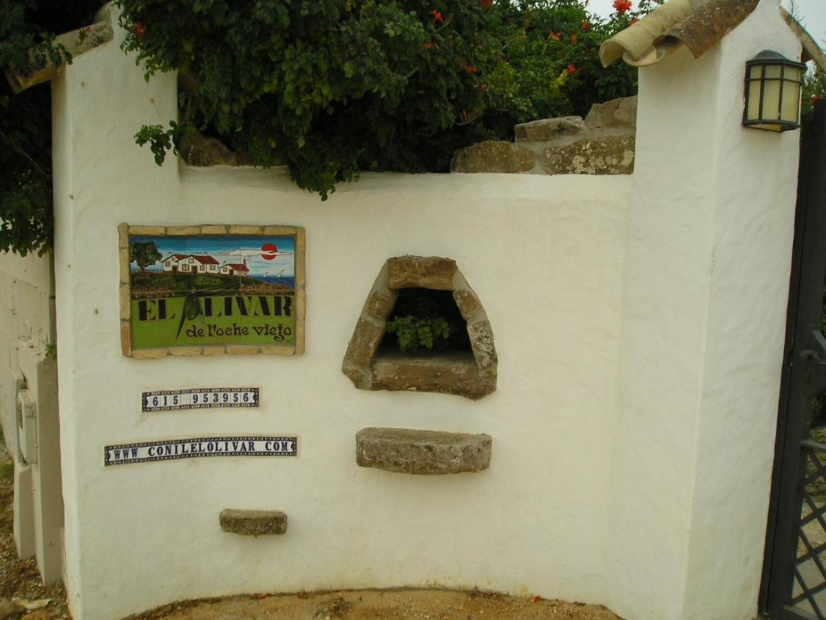 קוניל דה לה פרונטרה El Olivar De Roche Viejo מראה חיצוני תמונה