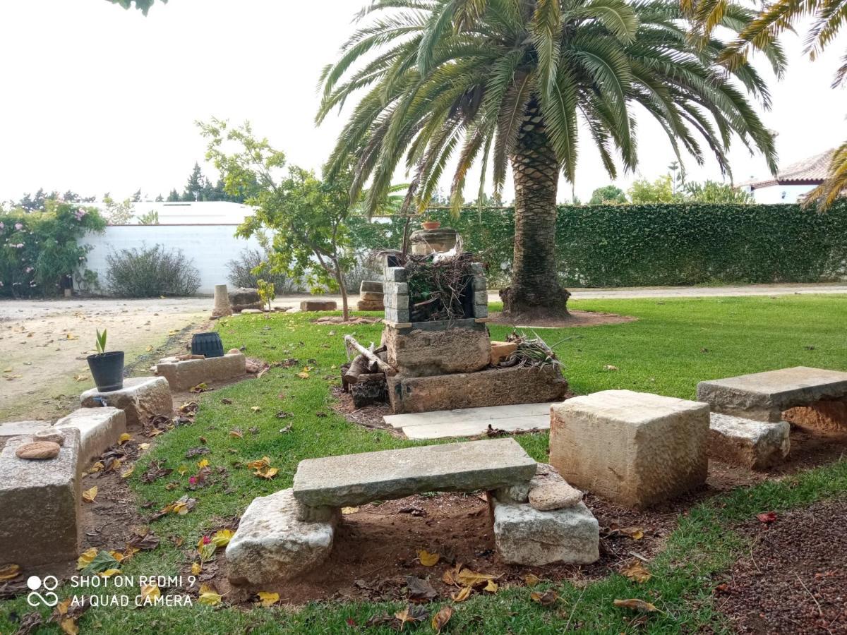 קוניל דה לה פרונטרה El Olivar De Roche Viejo מראה חיצוני תמונה