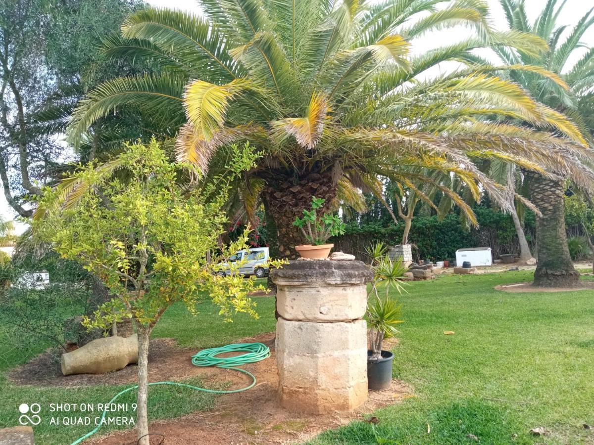 קוניל דה לה פרונטרה El Olivar De Roche Viejo מראה חיצוני תמונה