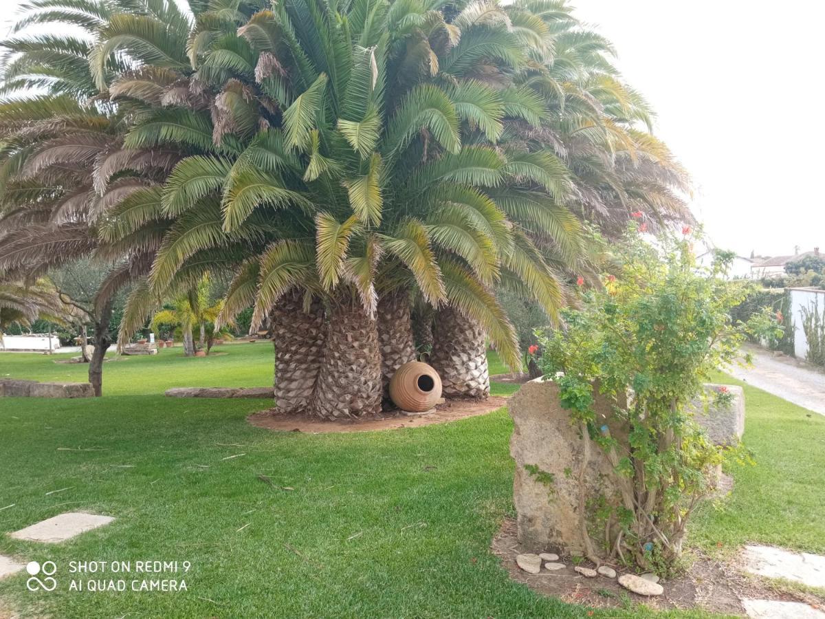 קוניל דה לה פרונטרה El Olivar De Roche Viejo מראה חיצוני תמונה