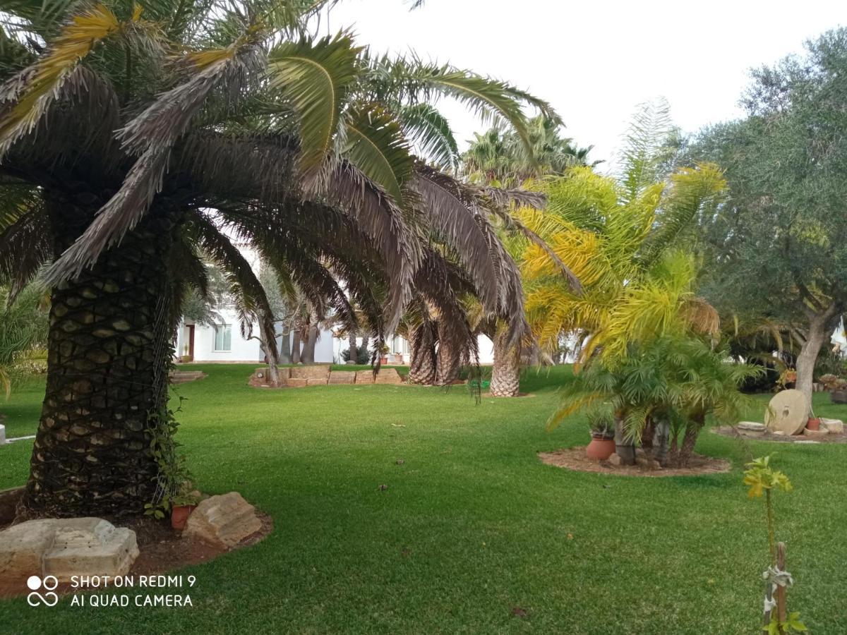 קוניל דה לה פרונטרה El Olivar De Roche Viejo מראה חיצוני תמונה