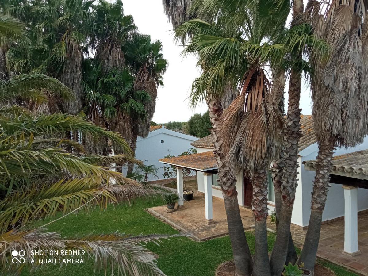 קוניל דה לה פרונטרה El Olivar De Roche Viejo מראה חיצוני תמונה