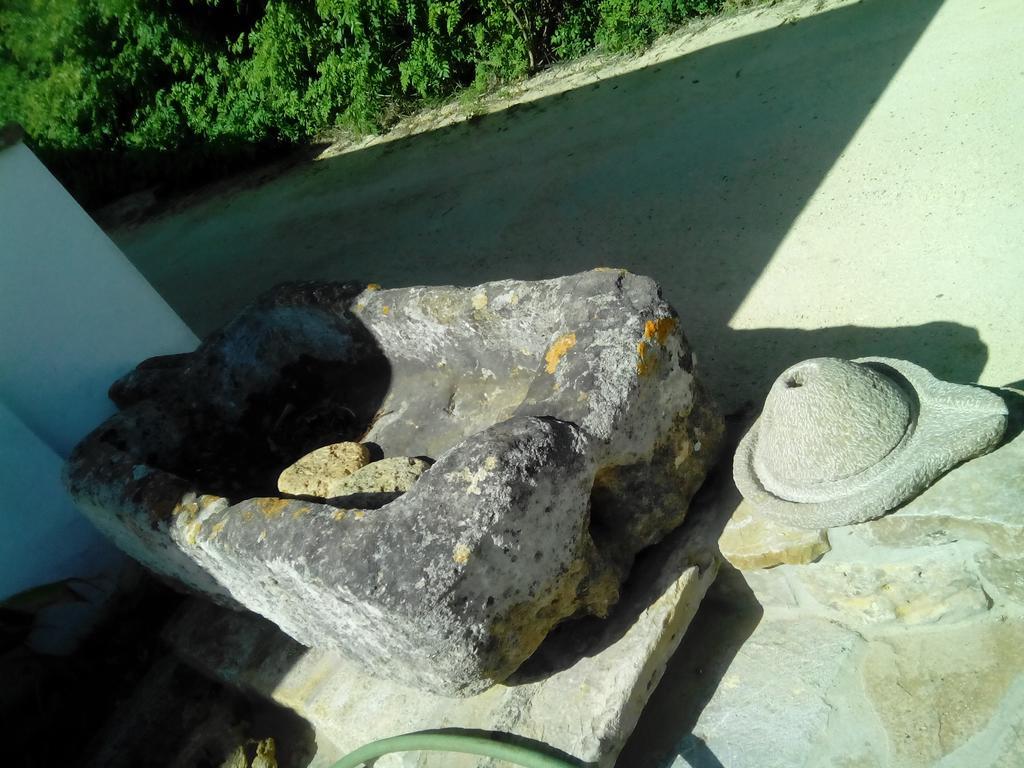 קוניל דה לה פרונטרה El Olivar De Roche Viejo מראה חיצוני תמונה