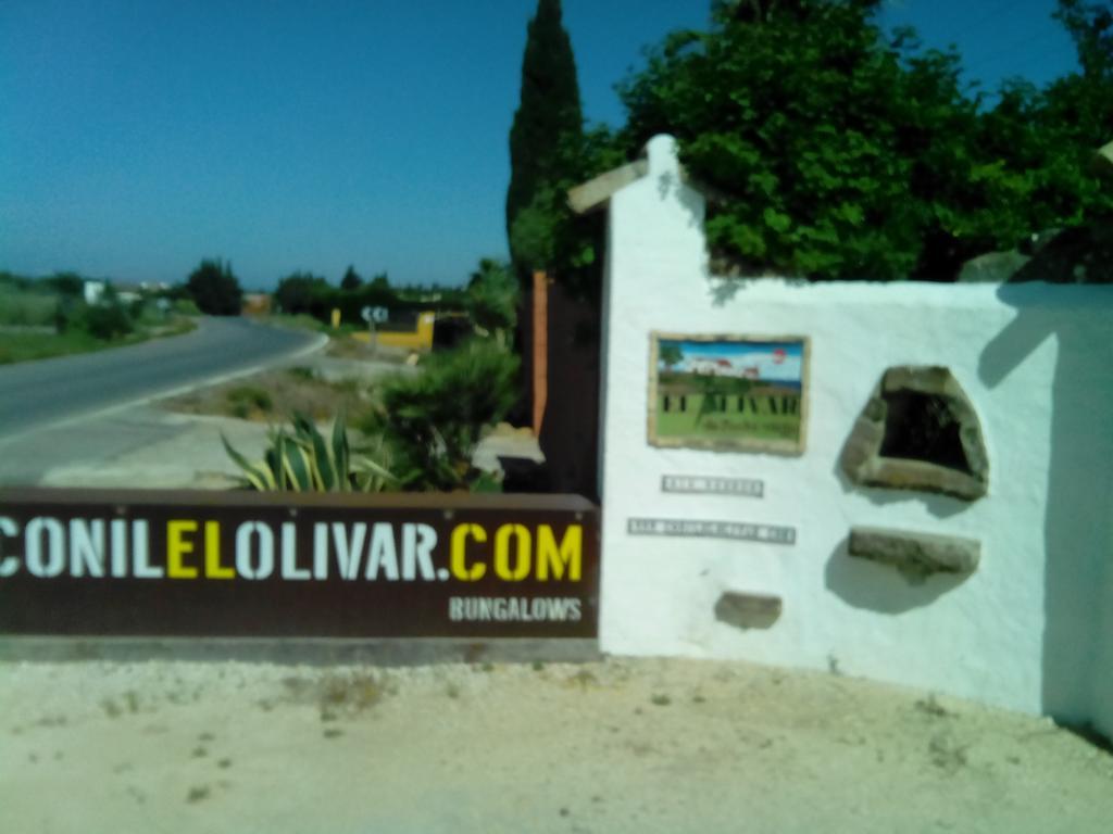 הוילה קוניל דה לה פרונטרה El Olivar De Roche Viejo מראה חיצוני תמונה