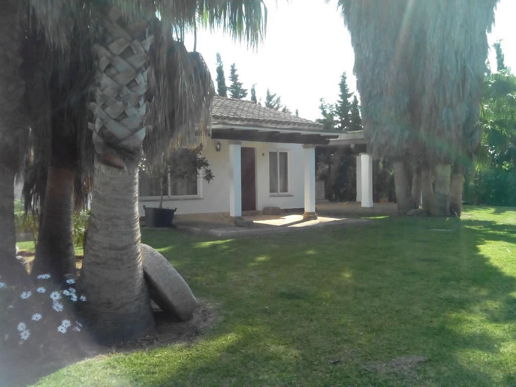 קוניל דה לה פרונטרה El Olivar De Roche Viejo מראה חיצוני תמונה