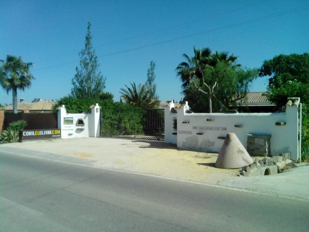 קוניל דה לה פרונטרה El Olivar De Roche Viejo מראה חיצוני תמונה