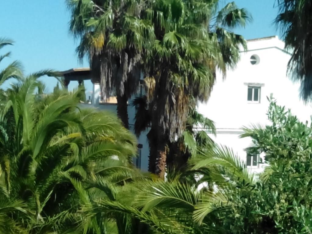קוניל דה לה פרונטרה El Olivar De Roche Viejo מראה חיצוני תמונה
