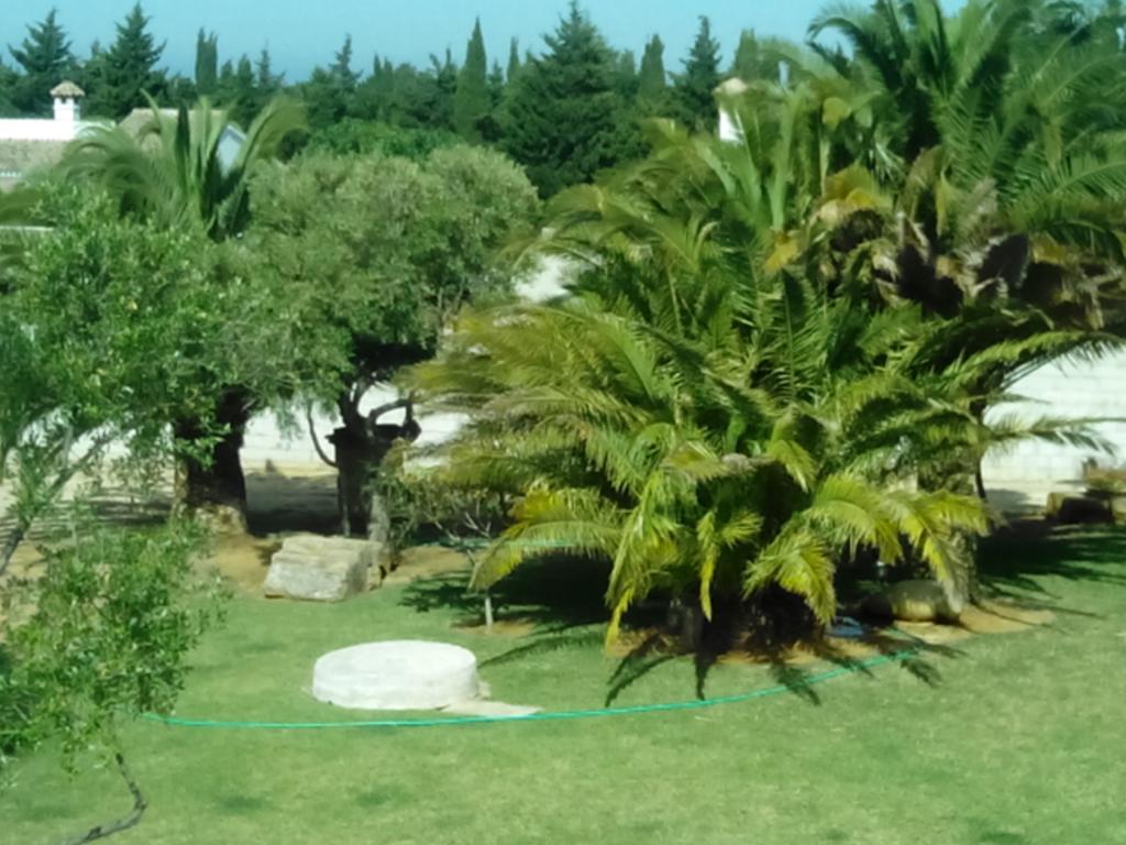 קוניל דה לה פרונטרה El Olivar De Roche Viejo מראה חיצוני תמונה