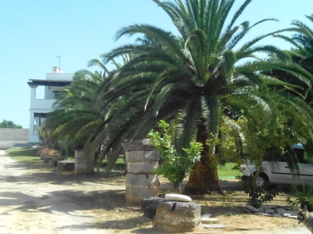 קוניל דה לה פרונטרה El Olivar De Roche Viejo מראה חיצוני תמונה