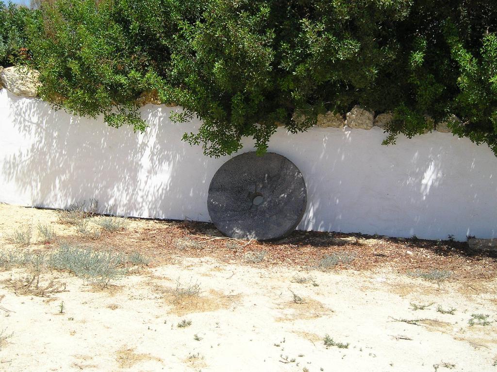 קוניל דה לה פרונטרה El Olivar De Roche Viejo מראה חיצוני תמונה