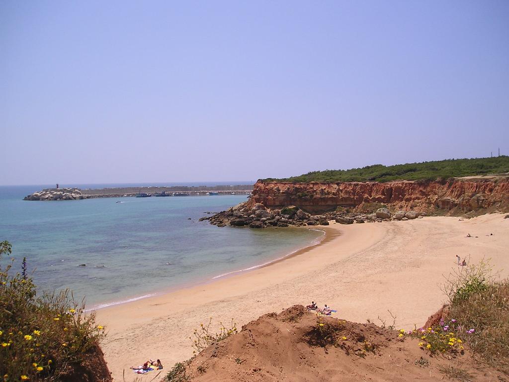 הוילה קוניל דה לה פרונטרה El Olivar De Roche Viejo מראה חיצוני תמונה