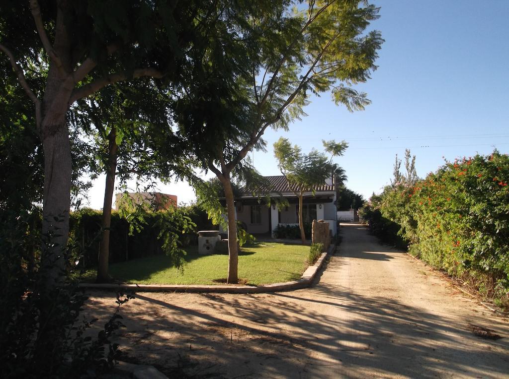 קוניל דה לה פרונטרה El Olivar De Roche Viejo מראה חיצוני תמונה