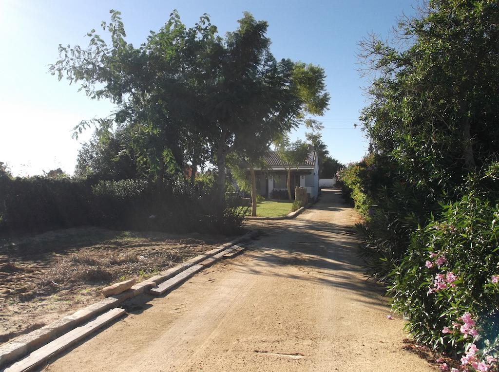 קוניל דה לה פרונטרה El Olivar De Roche Viejo מראה חיצוני תמונה